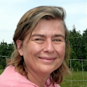 Anne Scheerlinck
